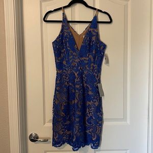 Dress the Population Nude and Cobalt Lace Dress